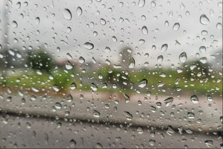 foto69733